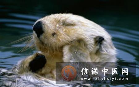 口腔溃疡不全是上火